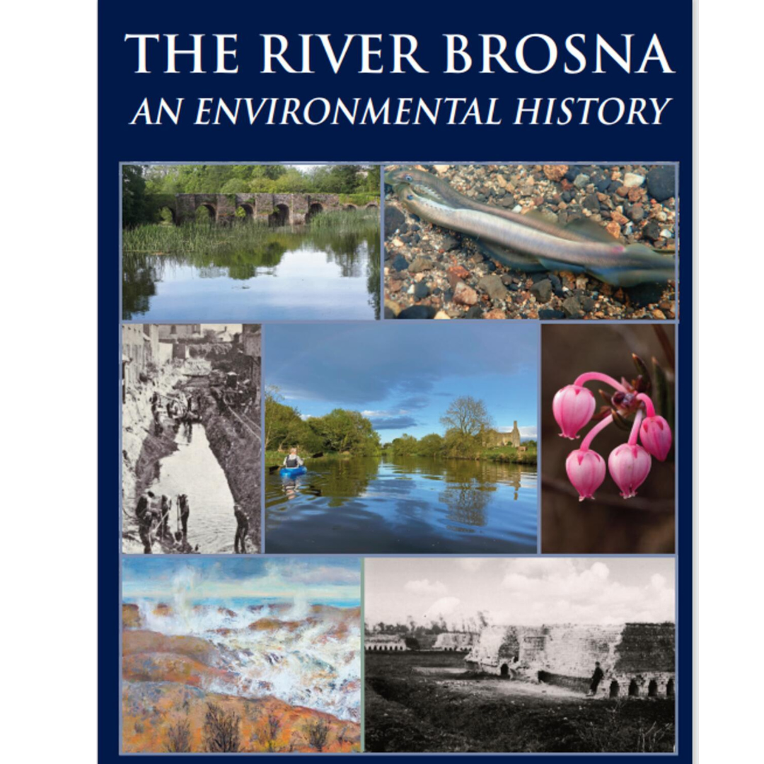 John Feehan The River Brosna
